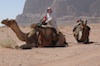 Camel riding