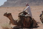 Camel riding